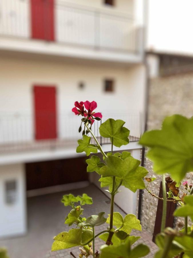 La Volpe Rossa Rooms And Apartments ซานเฟลีเช เดล เบนาโก ภายนอก รูปภาพ
